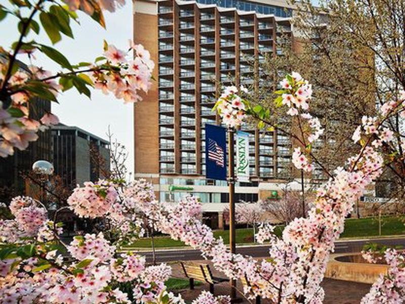 05D72BBBCD754F579AA75A84FC194417