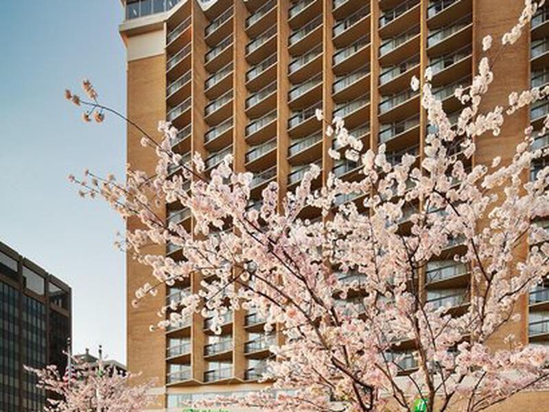 09C9B0DB2CFE4A06C0EB0DFFA7EA2272