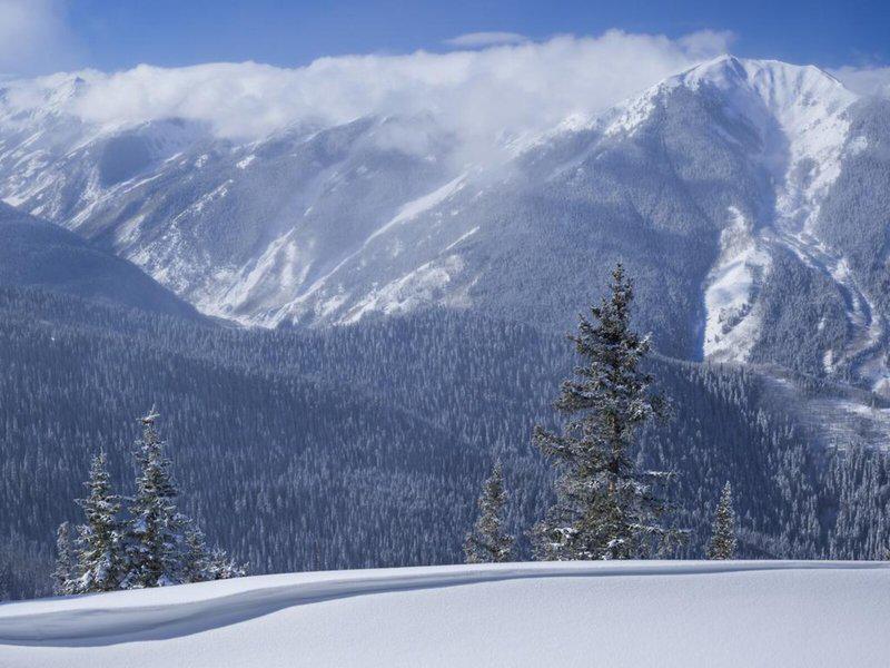 1CC647AD4220287ED0FBC4FCF13E7B0D