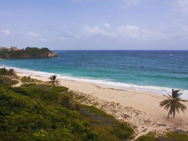 B0C46B23FC4252CFEEEF3E7C475DBBEE