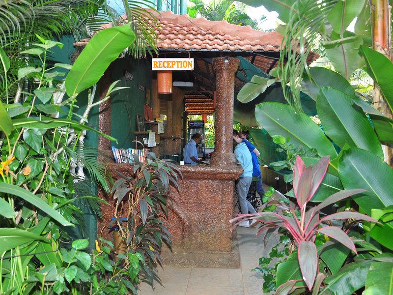 D92DD3C9E15877E6F82F88A88C64BA68