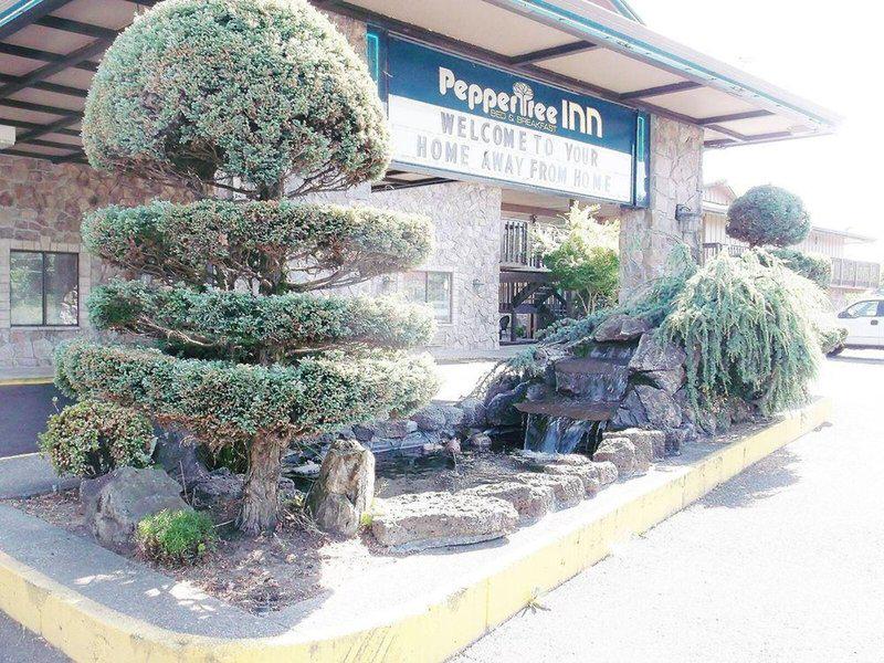 3DBD254FA3A02FB90F8C7E9BA6255BC2