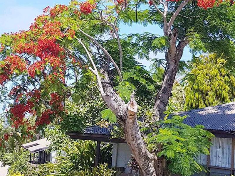 D2545F77009179B20BE101ECD6C29A4C