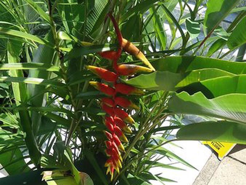 C47377C4EB2B862FD064641B5A789726