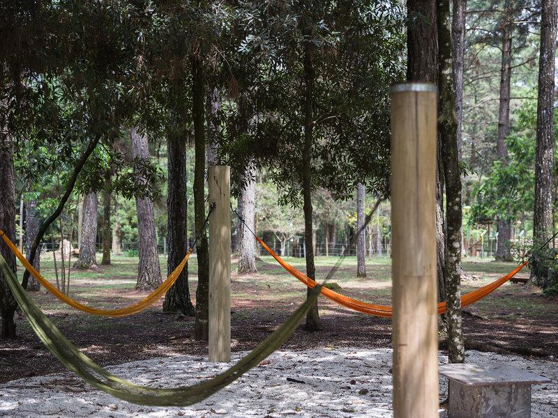 5CCB5FE2FA86F9D116C3CEEB82834AE8