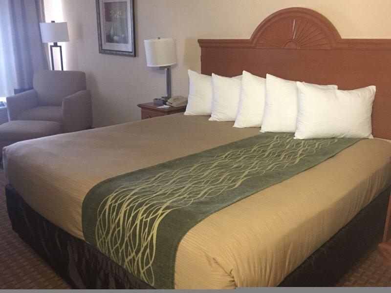 DF74AA0F49FA616B8031C110E6A3E6DB