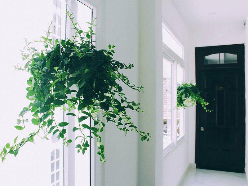 BC0092FACF3CCC63A871DBA0FC5250E8