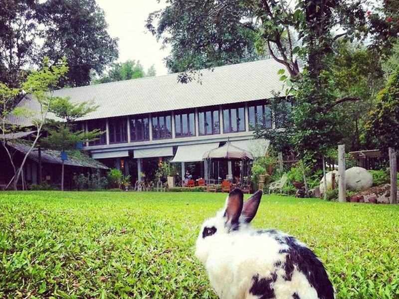 D452F59AEBDDFC30893D896E9E788EE7