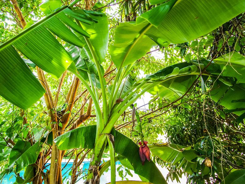 57E5F883BA19B1C24F0A84B0AAF7304A