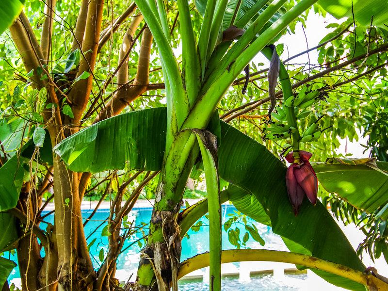 B0751380AECCDC0D7A424AE00F3A97CB