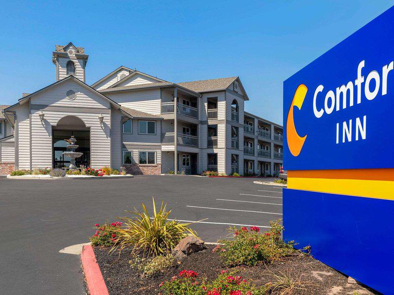 C775242A40F8236A8D1A06F1F33A1DAC