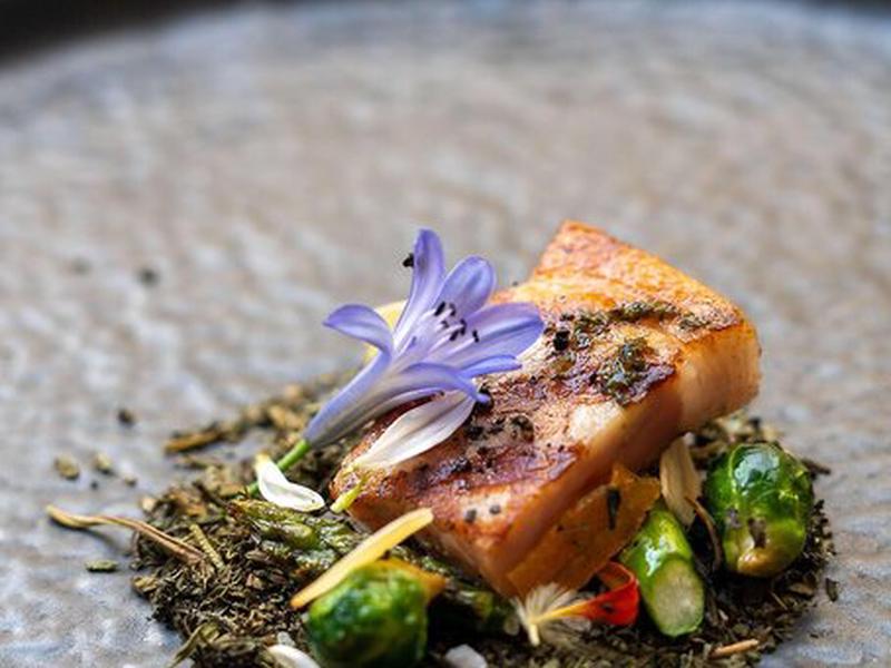 E818353821A46E2B015D38BC5273D45E