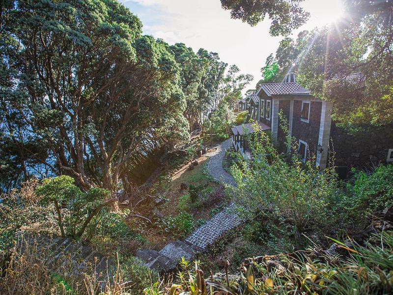 26914E92FF24E4C14BE2A5D3376C9279