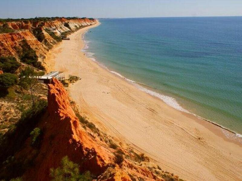 FA20C3B77A8CB9926F638A843BB1FA97