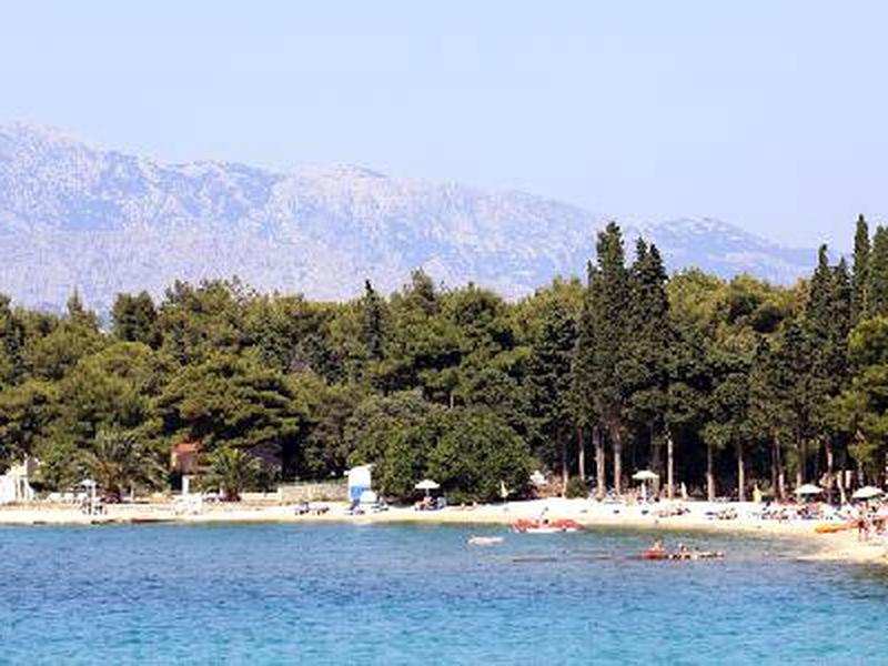 52C9854A41EFCEF55C8181D99F1343D4