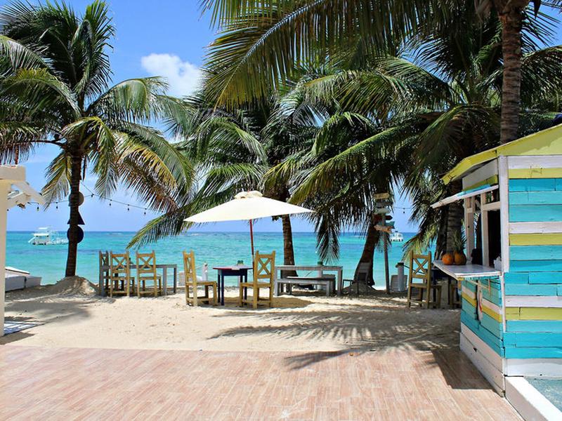 0192FF376EE4433A977019B09A36C691