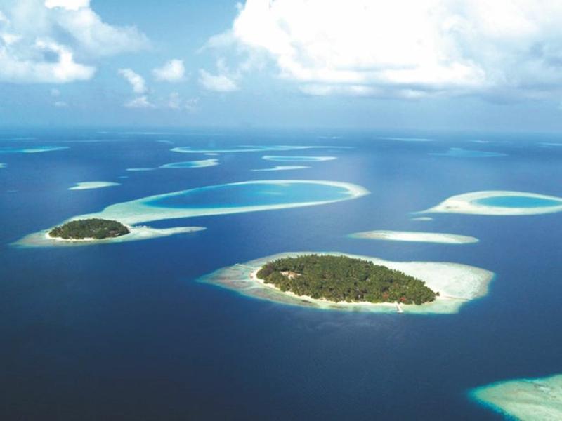 9BF91D46ED9E59CF4A600BE4A3D45C18