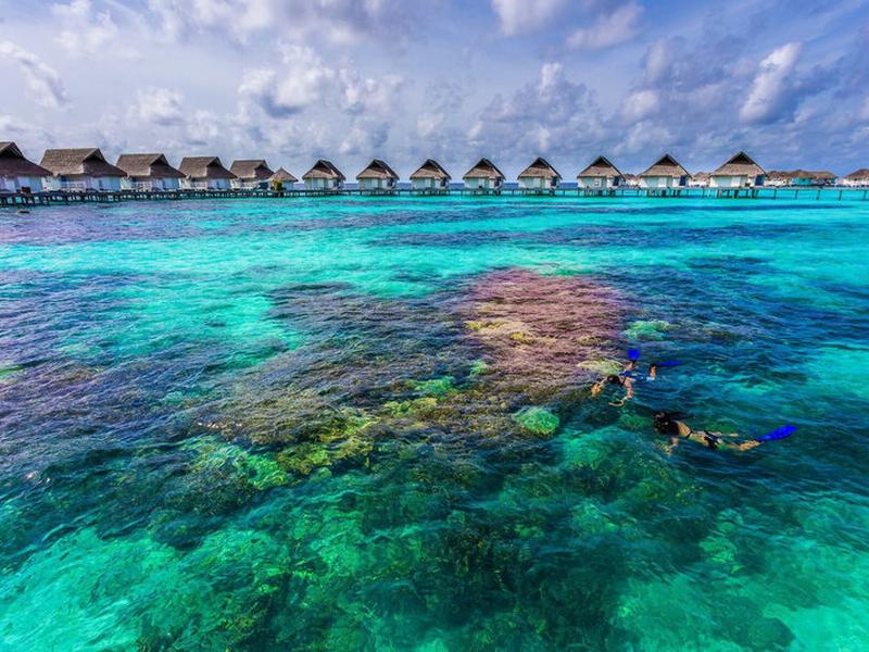 990F8EBC5D7A12031B99ED591F9FE26D