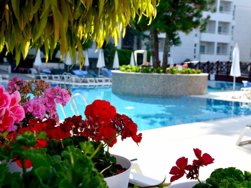 71096AD163F437AA6A7D812A30982BA7