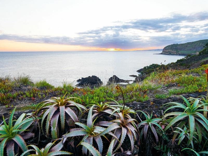 845505D0A7AF884BC94C5B43700F1715