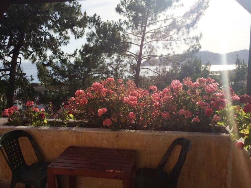 1D227A39E079947E96E9147C819DFEBE