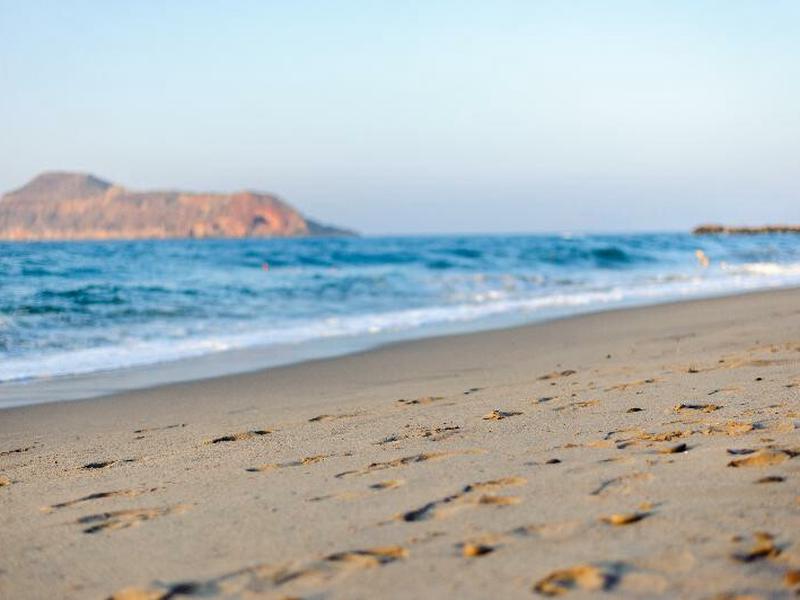 D1955595B01420199A3C987E4EDBB12F