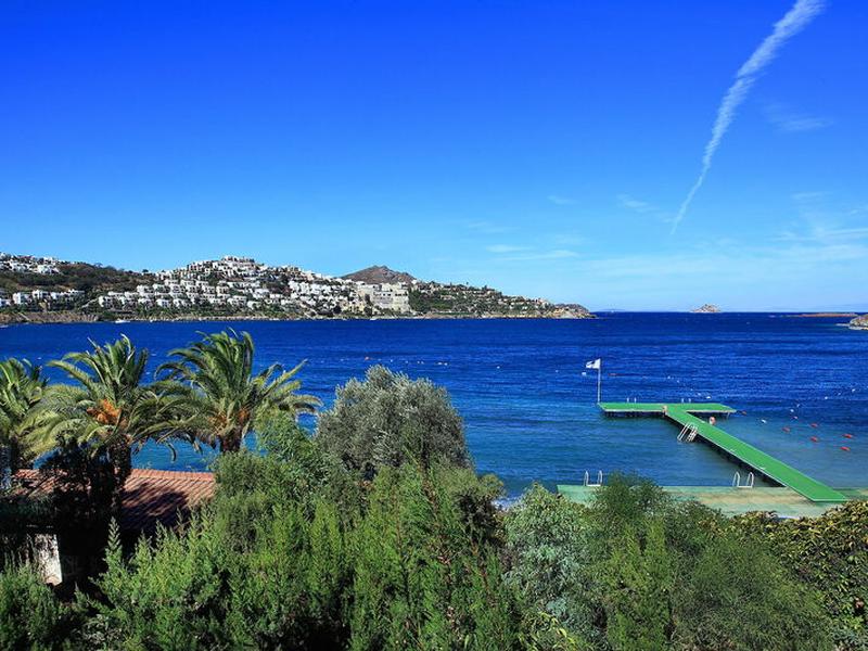 99FAC50DDB329A64200EA91A7D1ABA0C