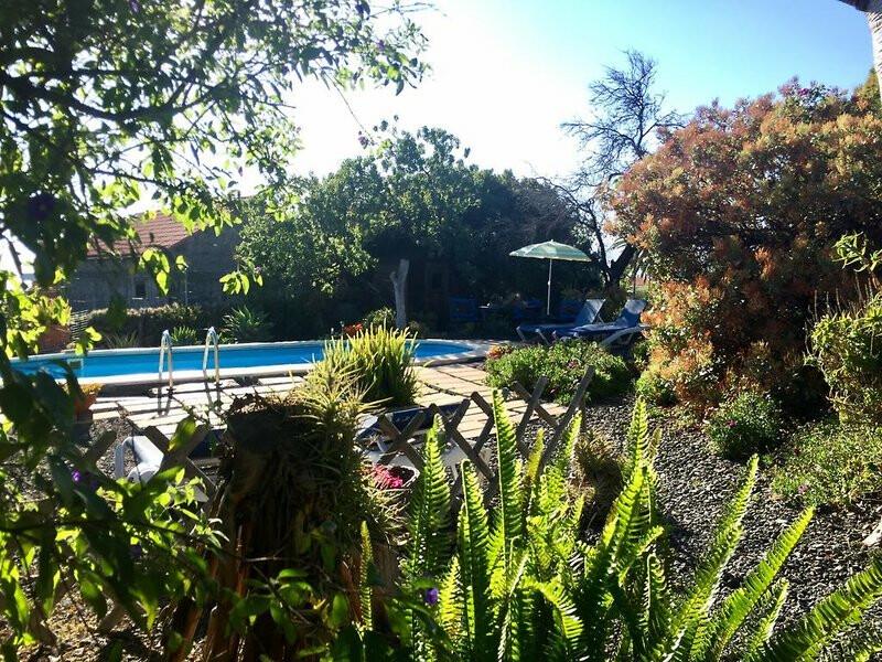 2B4063A11C9A4E8B461B6808A9C5011D