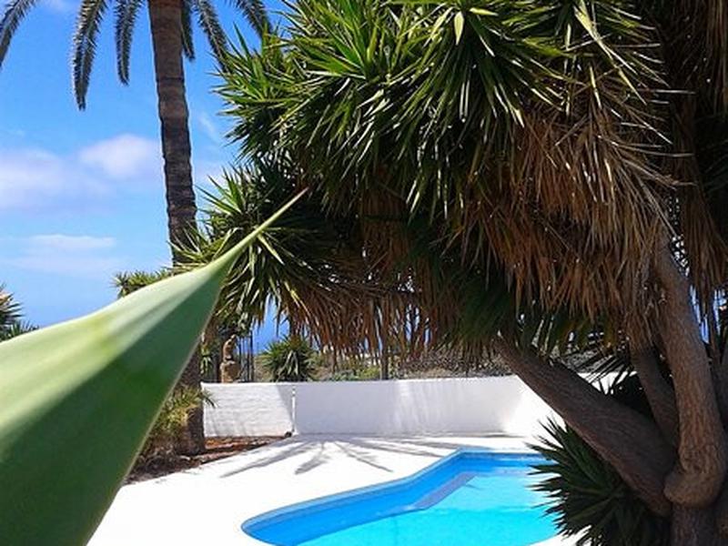 29671EA2F122778EA3B31B1D55946721