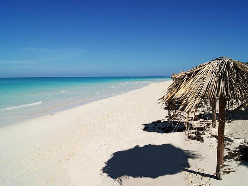 51F866F1BB5E722E284B0BFD91F792DF