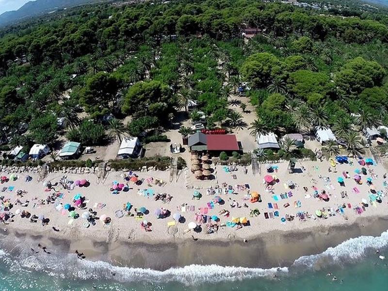 E85A5B832C70BDE5037FC881BC3EE974