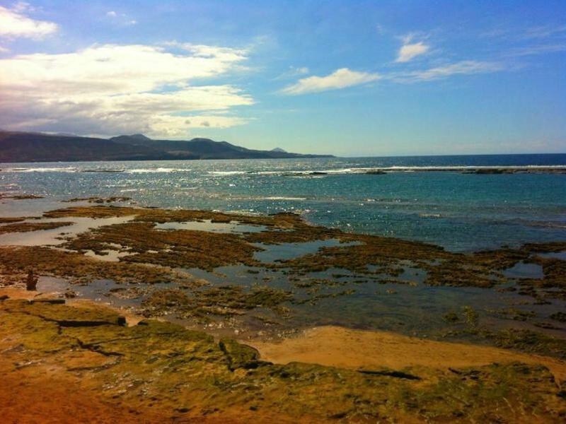 D75329470ECDE398669498EB58EA7553