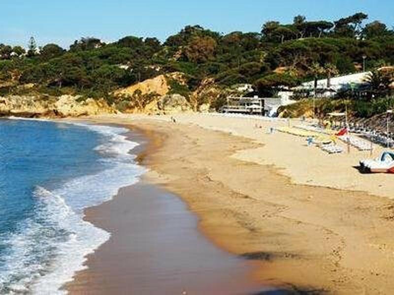 2A95385D4F141F59B2A8126D055AEC03