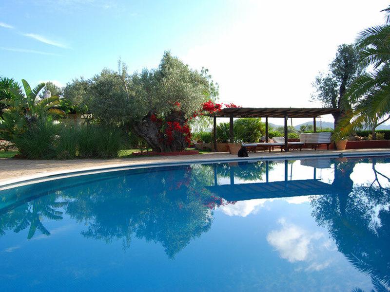 545EE24AF1C966F73ED8BACDE8BA2831