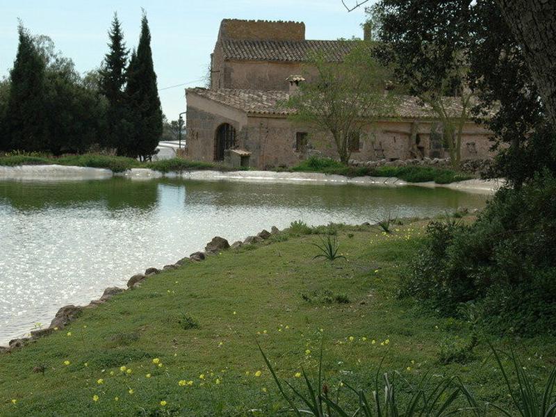 193F92486C5FF3B4475239CAFA11FA92