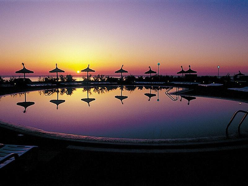 FEAF883EFFC86D97A7C2DCAB9512299F