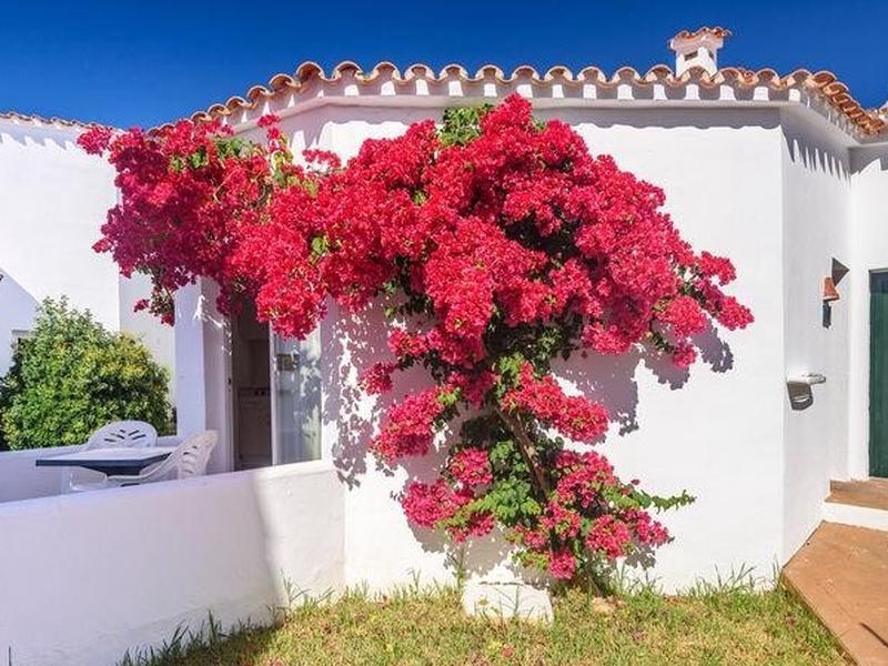 B9C3CB0C953AAE3B25FC71615A49189E