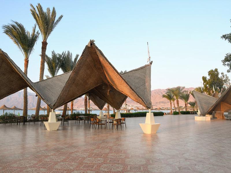 3DA1DDBA4B0B65C1A4118EE14582A379