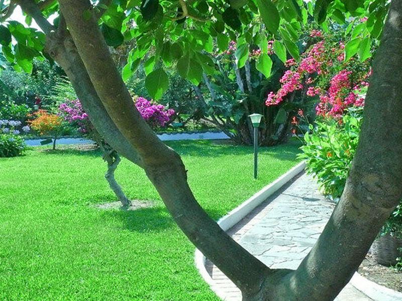 C08F1510EAB487037214338D5D673F16