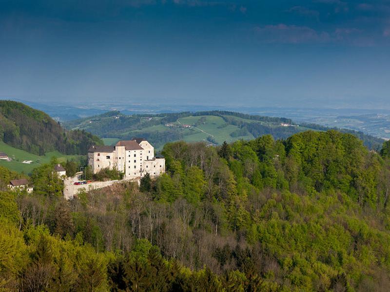 1F81753C528890F79F9576D45F3ACB74