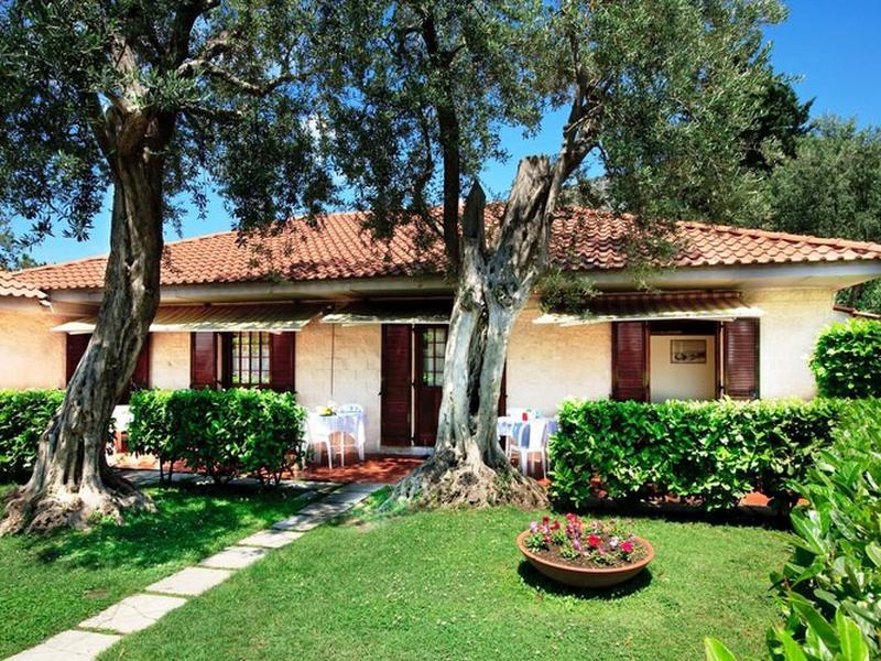 DE973999F431145519A2883F96000D45