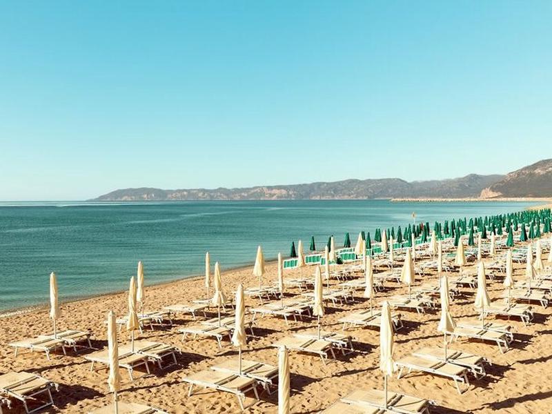 7E312382EF7D0C4493D3DB64ACFCFD32