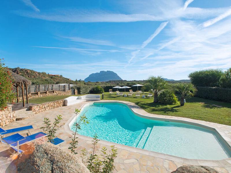 CB772F7D9D1B2F56B48FD6B81194B6AE