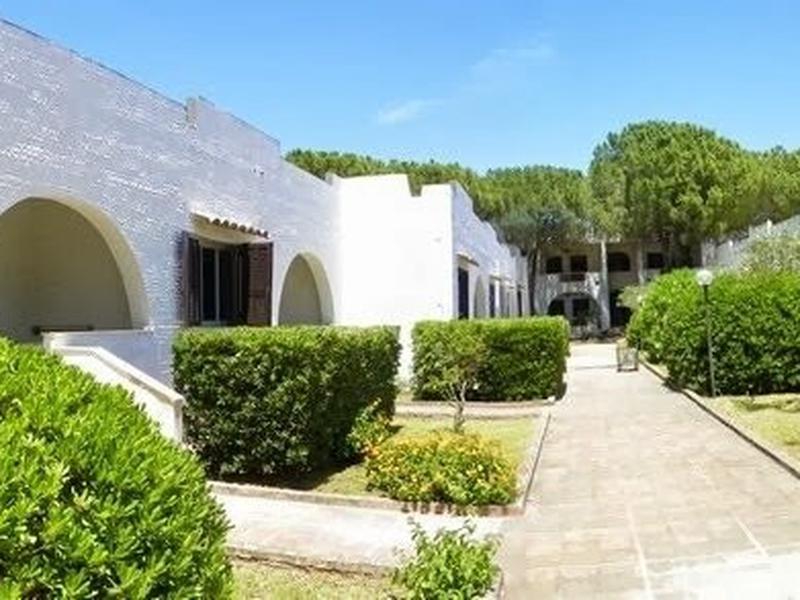 D17525F84E388E2E27BA3205014BCE7E