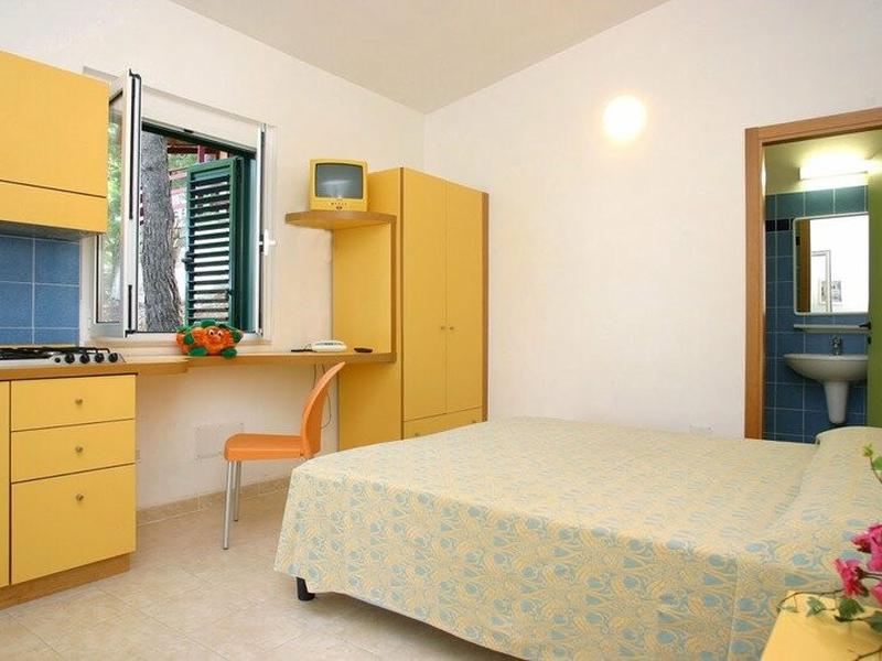 B3DFEE1DC02D199A8FF95E9A3605C654