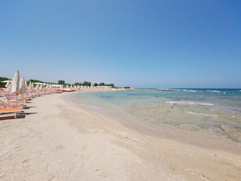 46DD5ECF33C192DBE7ED2926CA059B07