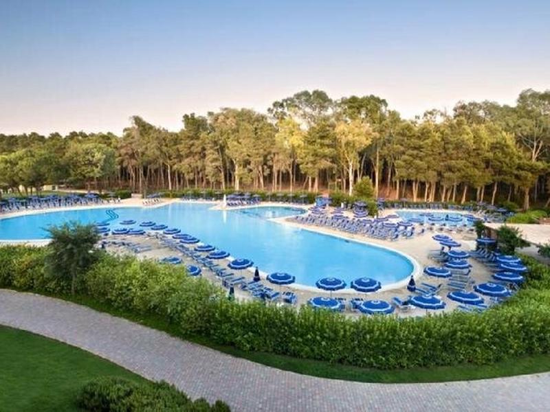 0CCEE698794CD8875A4B28C908DAB15C