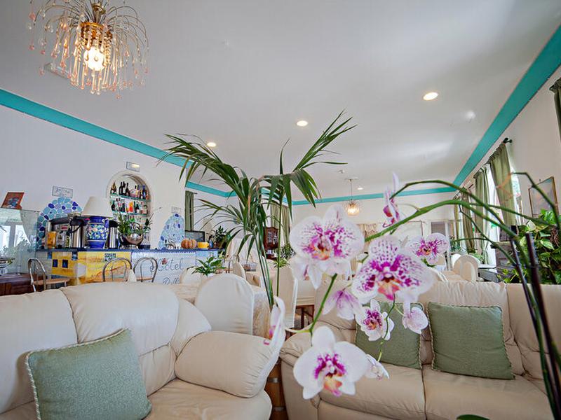 02DF67226A2541750D9FF94AB6AF4FA6