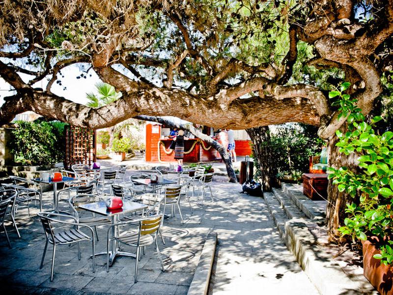 1211525A0F9F9DEA1A8A0CB4CCCE76C3