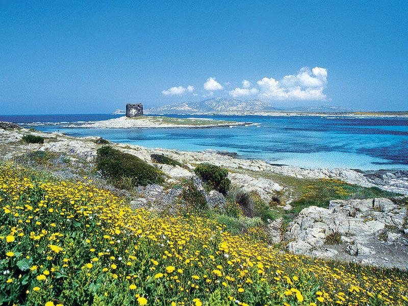 995C16A7234E7203B3AB61AFD2364ABE